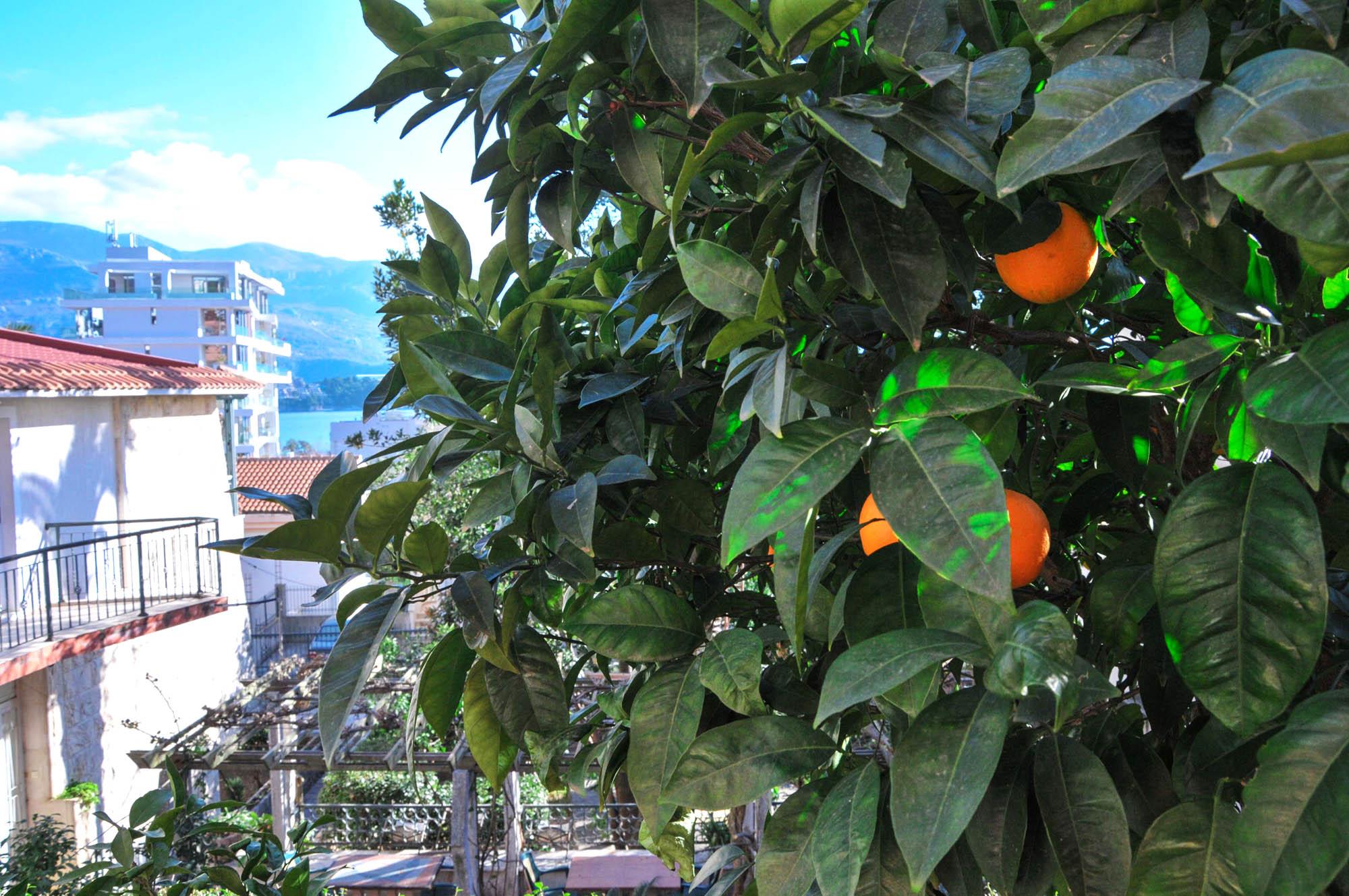 Apartments Orange Budva Kültér fotó